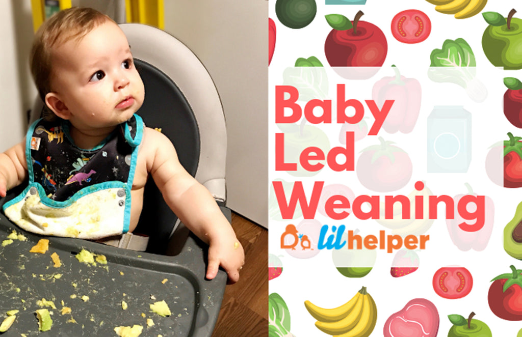 Baby Led Weaning