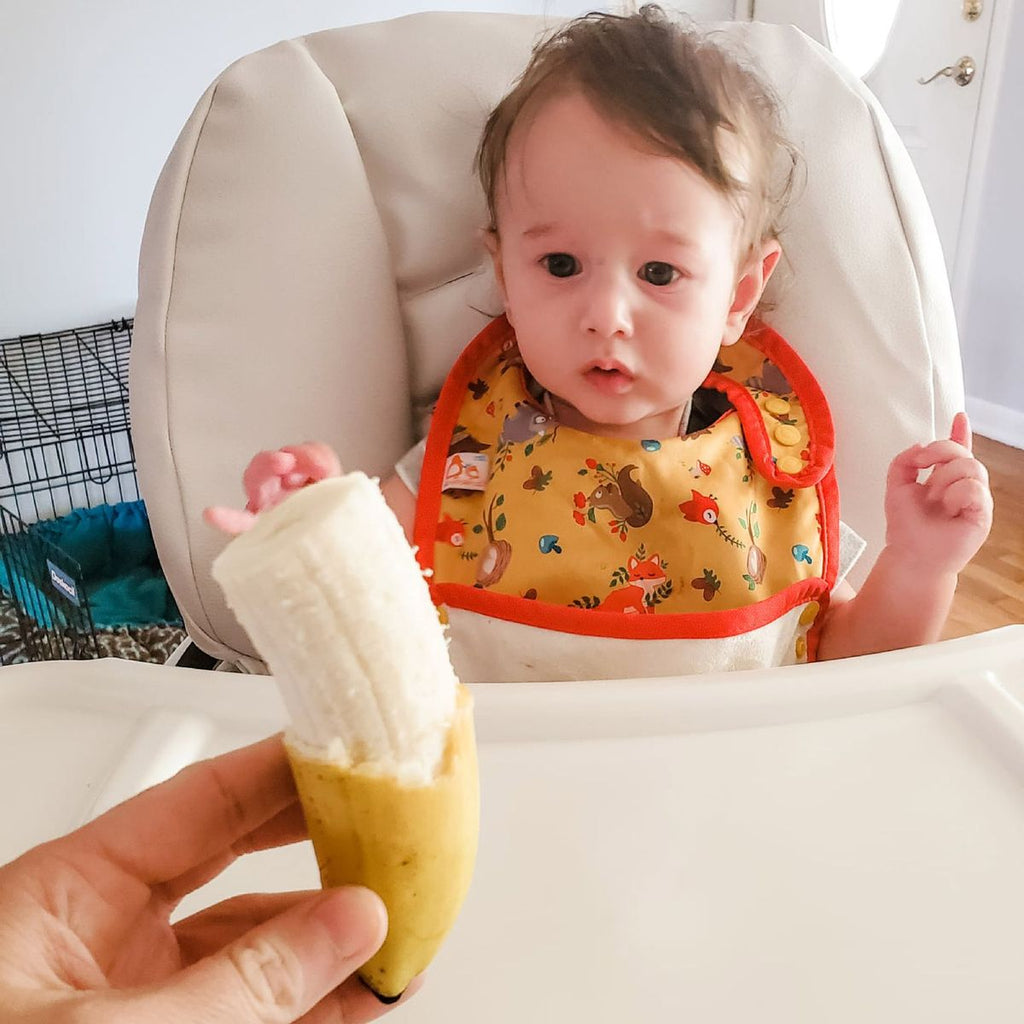 Feeding Baby 101: Everything You Need to Know Before Starting Solids