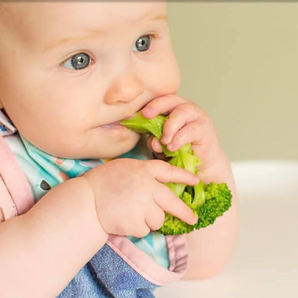 10 Tips for Growing Veggie Loving Kids