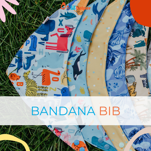 Biggie Bib - Indigo Blues - Video